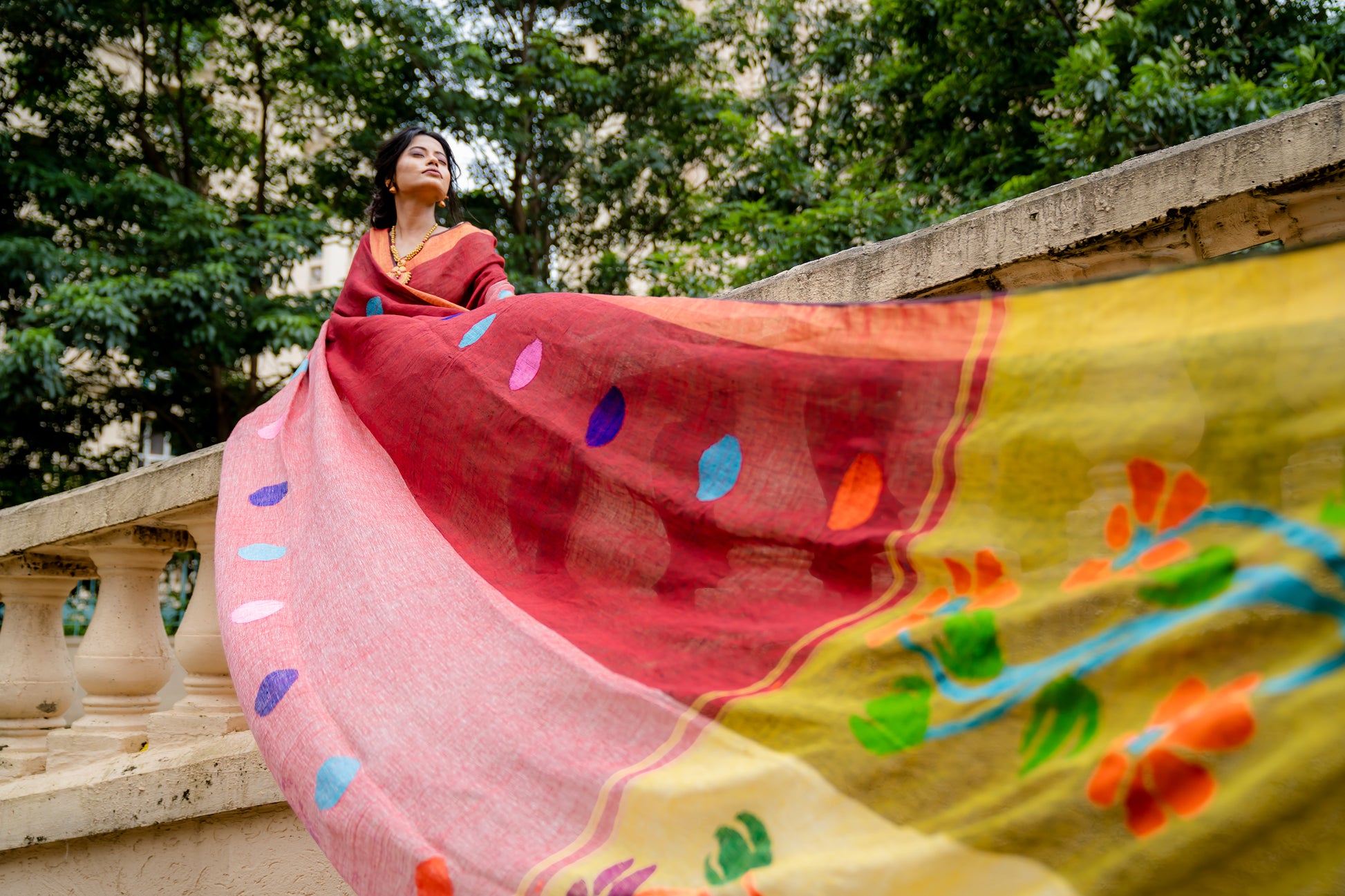 Ranga Chakra sarees